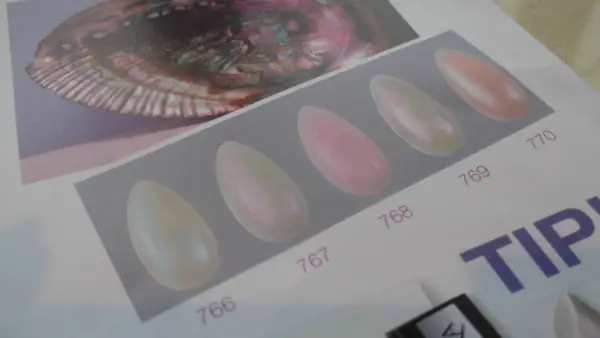 Isadora Opalescent Nails