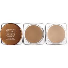 EX1 Concealers