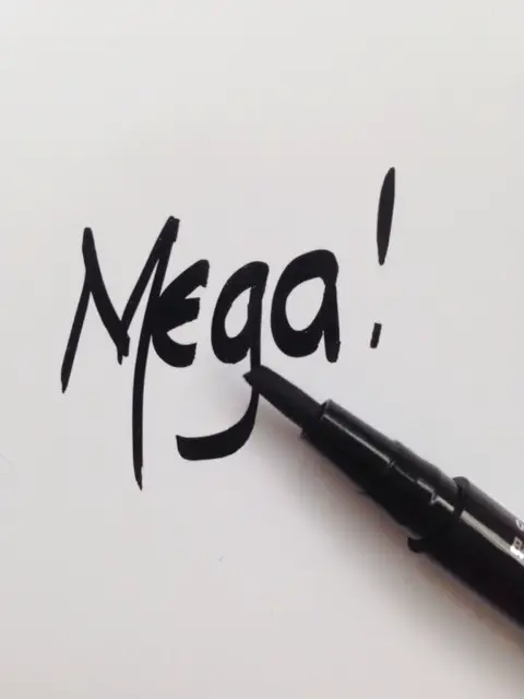 Mega Liner
